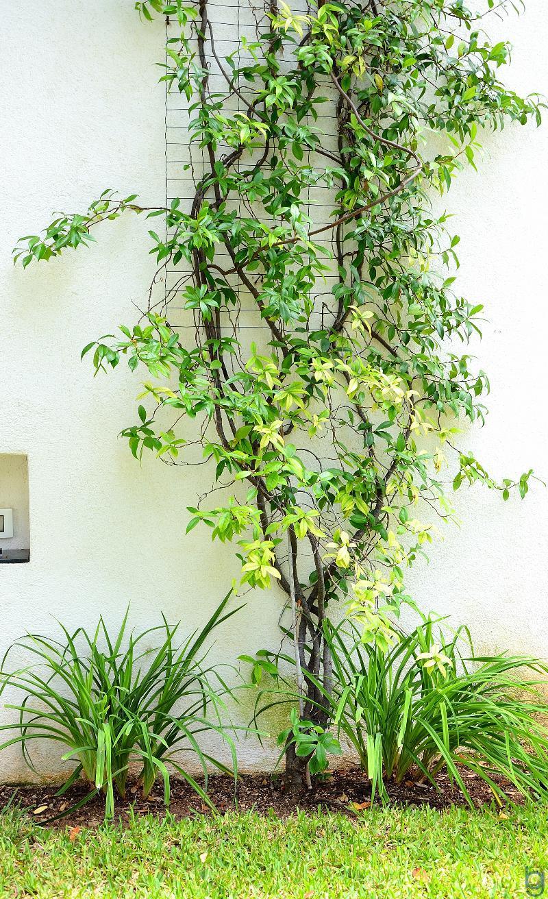 B&B Mondello Resort Ngoại thất bức ảnh