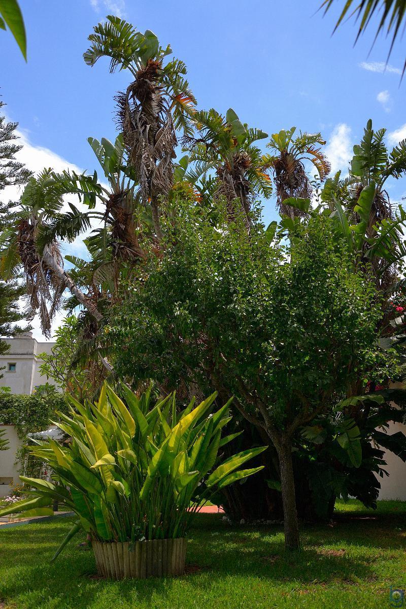 B&B Mondello Resort Ngoại thất bức ảnh