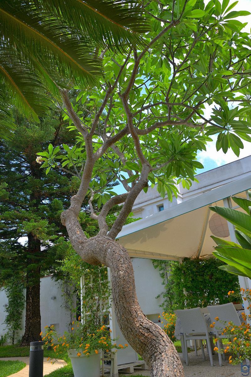 B&B Mondello Resort Ngoại thất bức ảnh